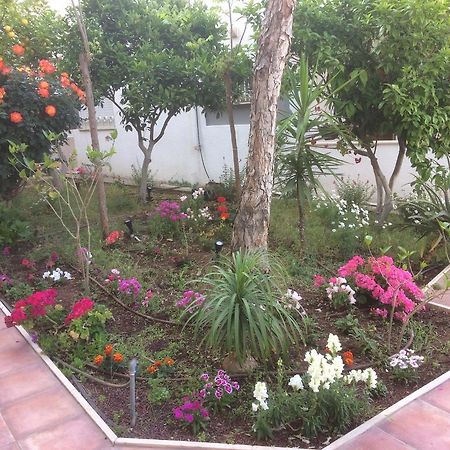 Miriam Short Term Rental Nasıra Dış mekan fotoğraf
